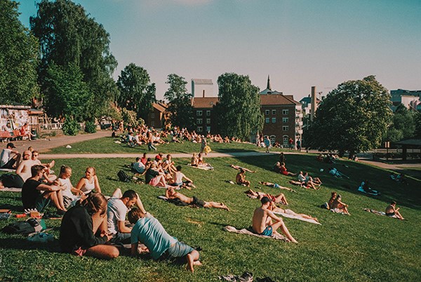 People sunbathing at park